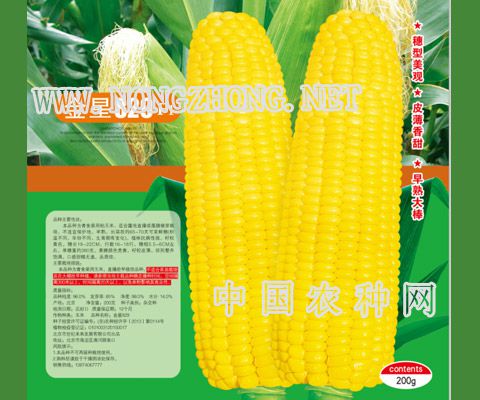 金星829